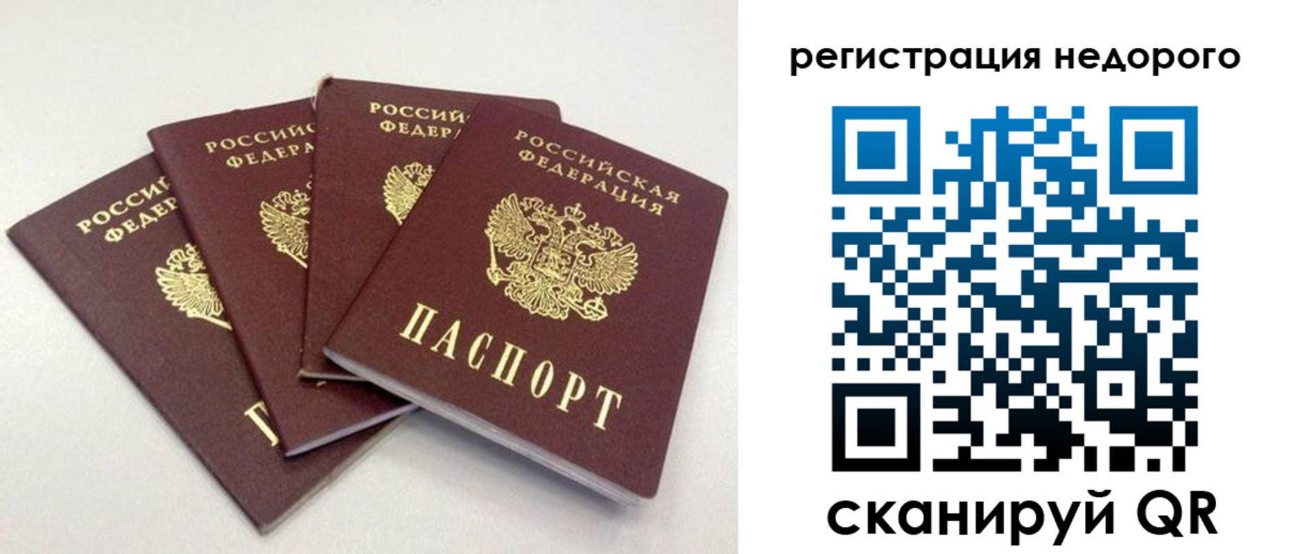регистрация для школы в Дмитрове